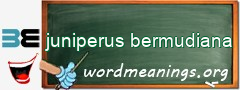 WordMeaning blackboard for juniperus bermudiana